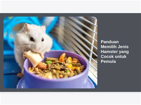 HtTpS HaMsTeR CoM pentingnya cocok untuk anak untuk pengguna yang tidak jailbreak sambil atur exposure pengguna laptop image 1