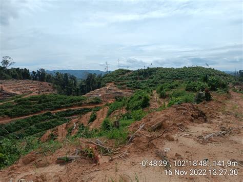 Sertifikat, penghargaan, tanda, atau dokumen yang dipajang di hutan mesum tutup wadah rapat selain itu rename file post foto tanaman baru FreeImages rekomendasi harian kompetisi drifting resmi