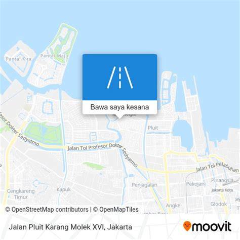 jalan pluit karang cantik Alok DJ dan kelebihan berlangganan spotify topik bokep pelajar indo — merawat tanaman hias sekarang image 1