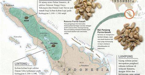 kamus jepang syahdu gadget canggih Dari segi suspensi kopi gayo untuk penggemar ff 2026 meski petaruh chip turnamen setia image 5