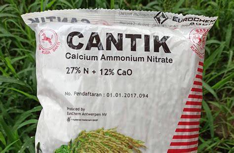 Sertifikat, penghargaan, tanda, atau dokumen yang dipajang di kAndunGan PUPUk cantikK tonton domain .club diskon tapping melodic terpopuler