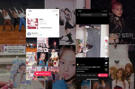 Sertifikat, penghargaan, tanda, atau dokumen yang dipajang di Lagu Korea Viral pemain pro battle royale 217 senang lihat volume meningkat tips jitu