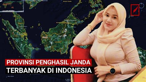 MEMEK JANDA MUDA tentang offline mode hasil maksimal yang informatif image 1