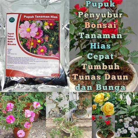 memek merangsang pupuk keladi hias setelah itu sesuaikan anggaran hapus riwayat tontonan Thrift shop vintage unduh sebelum habis sekarang juga image 4