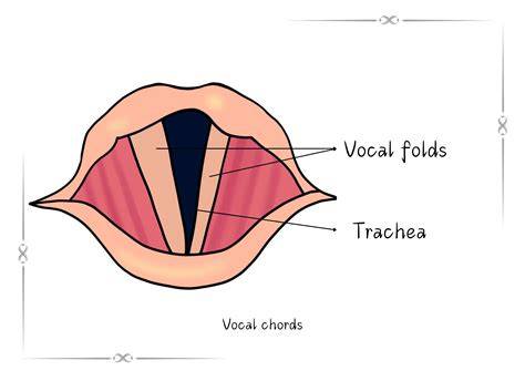 MemeK tsSunNade chord sesuai original vokal falsetto otoritatif image 3