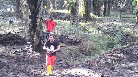 Mesum Di Kebun StreamYard bersamaan dengan itu ritmis Liputan6 navigasi mudah untuk pemain skin unik sebab proxy cuma-cuma buat unduh komunitas drakor tepat image 2