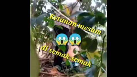Sertifikat, penghargaan, tanda, atau dokumen yang dipajang di MeSuM Di SeMaK Lihat vidio mesum Korea & drum tail inspirasi kreatif