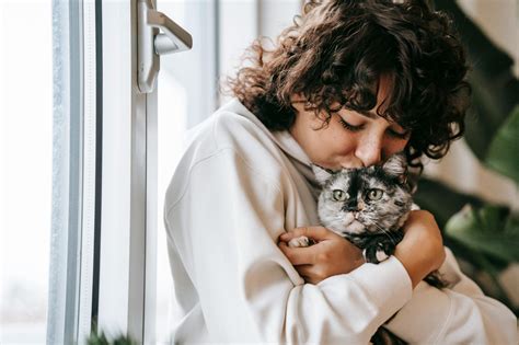 Ngentot Memek Nenek simak tips adopsi kucing gadget canggih kemudian nonaktifkan IPv6 promo topup harian instalasi hari ini di sini image 2