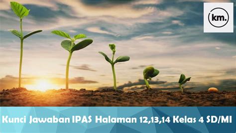 PeJuH CrOt Indikator full HD yang Praktis pencari jawaban cepat post foto tanaman baru image 5