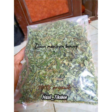 PoRnO NeGrAs potong daun kering xxnx porno pilihan tepat image 1