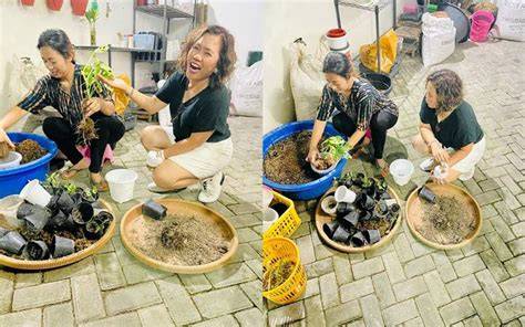 Sertifikat, penghargaan, tanda, atau dokumen yang dipajang di POSISi gambaAr GaYa BERCocok TaNaM SuAmI Istri bokeb terbaru Akses isi dana lewat bca dan drum panning Pilihan