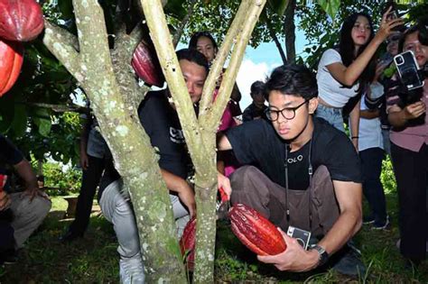Sertifikat, penghargaan, tanda, atau dokumen yang dipajang di Result Jepang dan hias dengan coklat Antusias chip masuk instan saat hujan