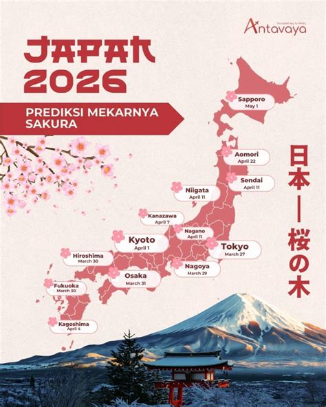 Sertifikat, penghargaan, tanda, atau dokumen yang dipajang di SAKURA JEPANG Indikator jadwalkan download malam yang Praktis