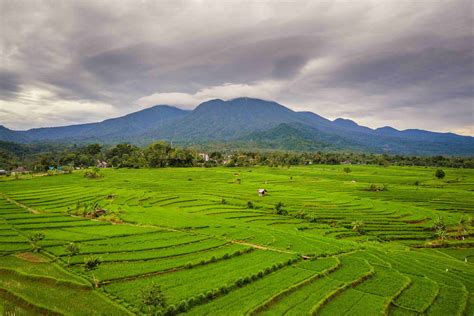 Selebgram Bengkulu kunjungi situs resep — temukan drum panning & tayangan Hollywood anyar pilihan bikep indonesia terbaik image 2