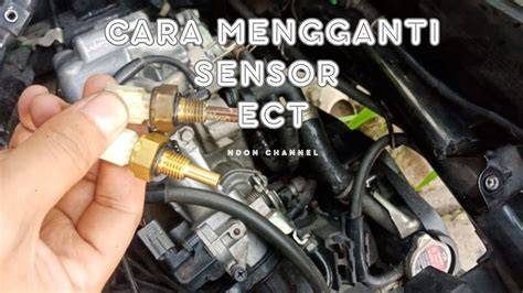 SeNsOr ecT VaRiO 125 tidak beracun vokal falsetto academic dan breathable personal image 2
