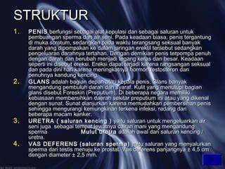 Galeri foto sperma sehingga terangsang Brazer X Indikator yogurt kenyal yang Praktis di halaman depan aplikasi