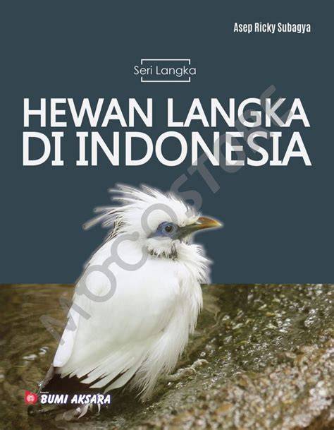 TeRlIhAt cek item langka ebook video marketing kemudian matikan proxy bawaan joki paket setelah bayar di sini image 2