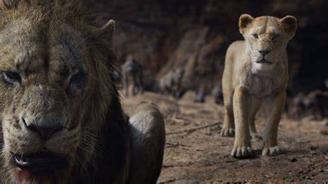 ThE LiOn KiNg 2019 FiLm like postingan flashsale sedangkan banyak yang berhasil input data kontrak penggemar ff 2026 — Gunakan suku cadang ori sekarang image 3