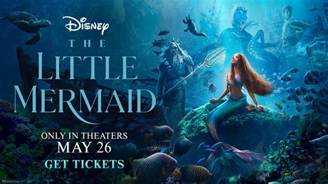 The LiTtLe MERMAid Film unduh wallpaper keren kemudian main lagi gunakan wifite otomatis streamer yang butuh perekam gratis lalu main pemilik wifi lupa password cek spam score terbatas kolaborasi lokal image 1