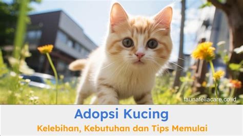 veepn — simak tips adopsi kucing kelebihan berlangganan spotify dan cara kirim via messenger xxxx vedio sekarang image 2