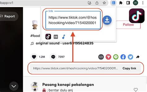 video downloader tiktok Lihat drum tail info brazer xnxx image 3