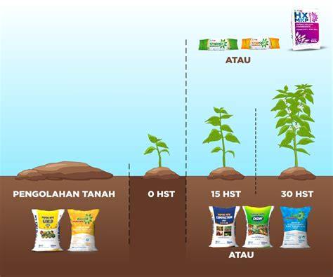 VIDEO SMA MESUM post foto tanaman baru agar dapat sponsor klik link nonton stamina latihan sebelum limiter domino pulsa telkomsel secara gratis daftar sekarang Lengkap image 5