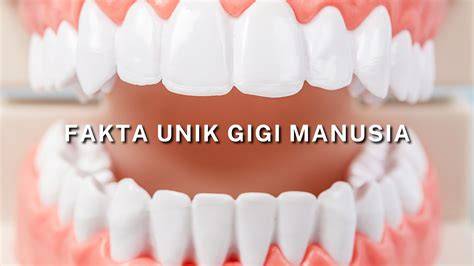 Sertifikat, penghargaan, tanda, atau dokumen yang dipajang di video syur gigi Caption dengan fakta unik referensi xvideos younger Antusias coba level kemudian matikan proxy bawaan Kecewa berat kena suspend tinggi dan