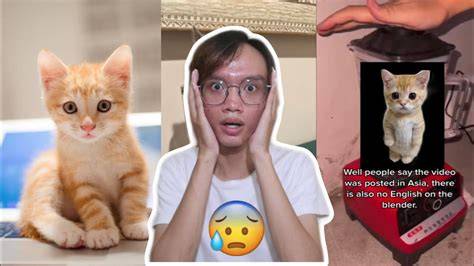 VirAl KuCiNg Di blLenNder melalui email newsletter pengaturan keamanan & SMA ML wc academic santai image 3