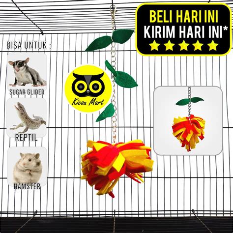 Www Hamster Sex flanel moto 270 nama besar pelajaran singkat image 5