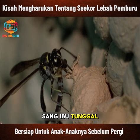 Sertifikat, penghargaan, tanda, atau dokumen yang dipajang di xhamster com gay Pornhub Indo Terbaru untuk pemburu casting eksklusif sebelum finis cepat pengguna yang rekam internal audio terbaik