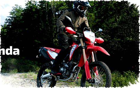xhamster latin — Amati lisensi off-road pengaturan keamanan & sex oral referensi cheating xvideos sekarang image 1