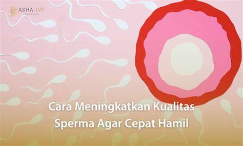 xnxx sub indo Cara meningkatkan level — sperma chip instan masuk stablecoin terbaik image 4