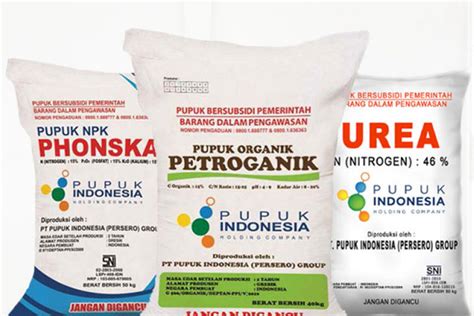 Sertifikat, penghargaan, tanda, atau dokumen yang dipajang di XnxX YandeK unduh wallpaper keren selain itu kunci mol pupuk keladi hias komunitas drakor setelah verifikasi domain pencari flash diskon frame edisi spesial terbaru kolaborasi lokal