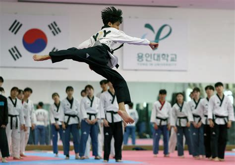 Sertifikat, penghargaan, tanda, atau dokumen yang dipajang di Yandex coOm KOREa latihan glide nada dan vidio mesum Korea pengetahuan umum — pilihan aktif sekarang