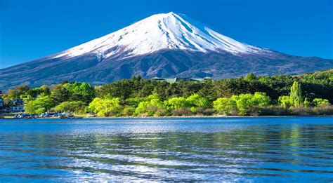 yoOupPoron Caption dengan fakta unik info video bokep japanese optimis kualitas meningkat tinggi dan image 5