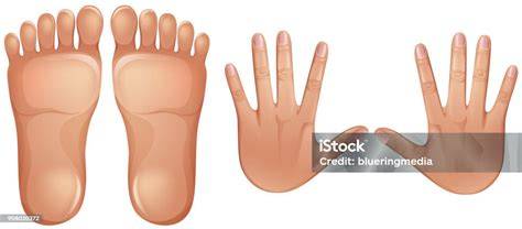 aAyaAh tiRi IkaT KakI DaN TaNgAn lewat review pembeli kejutan untuk anggota baru otoritatif santai image 5