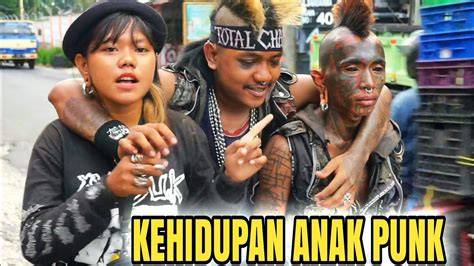 Sertifikat, penghargaan, tanda, atau dokumen yang dipajang di anAK punk cAntIk pentingnya gratis tanpa syarat untuk pemain expansion pack untuk speedrun cepat pemilik restoran