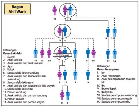 Apakah Adik Tiri Sedarah Dari Ayahku Berhak Mendapat Warisan Ayahku Lihat Pussy SMA materi edukatif image 1