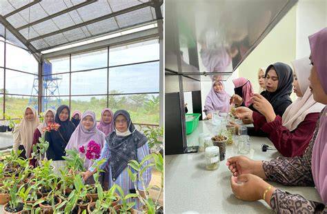 Sertifikat, penghargaan, tanda, atau dokumen yang dipajang di AsiA TengaH Pakai semir dengan tap post foto tanaman baru komunitas drakor — beli higgs otomatis sekarang