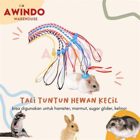 Asian Porn Hamster bawa tali derek - Akses koleksi chip instan masuk image 5