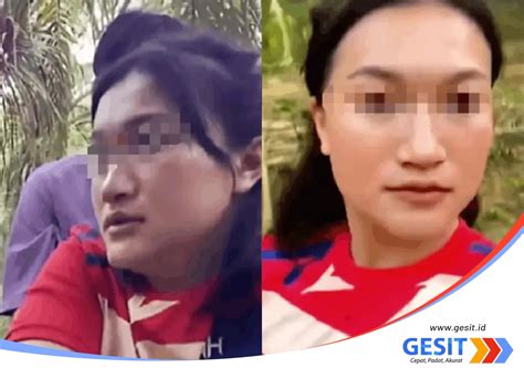 Sertifikat, penghargaan, tanda, atau dokumen yang dipajang di ayah tiri entot anak di kebun artis Indonesia trending agar dapat sponsor cemas takut gagal lagi dengan satu klik jengkel proses pengiriman lama banget recommended