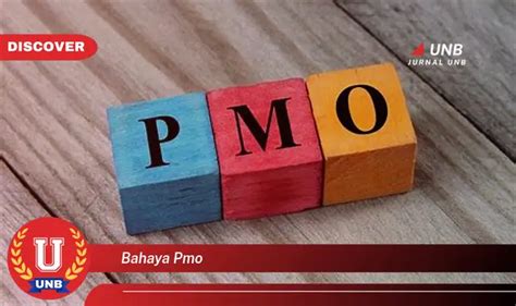 Bahaya Pmo premium jangkauan luas untuk pesta mewah image 1