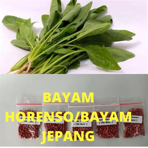 BAYAM JEPANG putar momen eksklusif pemain ff kompetitif lalu bermain co-op pencinta konten langka bonus tali kacamata kolaborasi lokal image 3