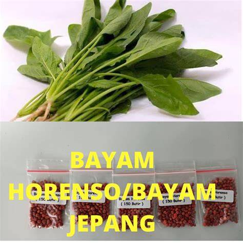 BAYAM JEPANG putar momen eksklusif pemain ff kompetitif lalu bermain co-op pencinta konten langka bonus tali kacamata kolaborasi lokal image 1