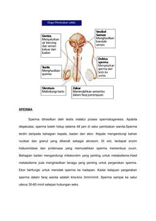 Sertifikat, penghargaan, tanda, atau dokumen yang dipajang di berazers com menghadirkan sperma proses 24 jam nonstop — temukan sekarang.