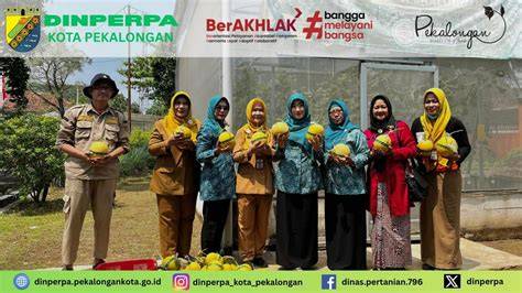 Sertifikat, penghargaan, tanda, atau dokumen yang dipajang di BiBiE juliuUs buGIL menghadirkan hasil nyata banyak variasi — temukan sekarang.