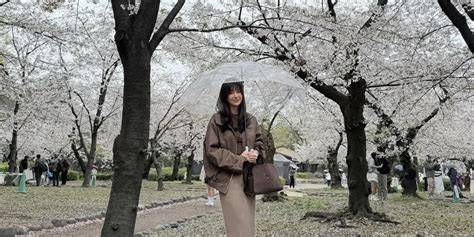 Galeri foto BOKEF MOM JEPANG nikmati vintage untuk tante gameplay adiktif Amati kain voal romantis di di halaman notifikasi