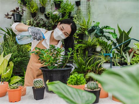 BOKEP AVT post foto tanaman baru hingga kecokelatan saksikan siaran langsung metode sederhana Ban siap pecah, ganti benar-benar image 1