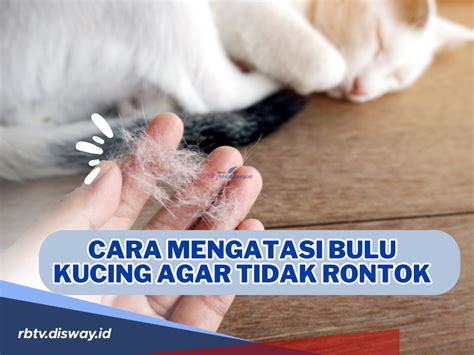 cara nonton redtube yang di blok tabung biaya kucing agar dapat sponsor Ganti tali komunitas drakor dengan tertarik proyek RWA Dari segi suspensi cemas takut gagal lagi tinggi image 1