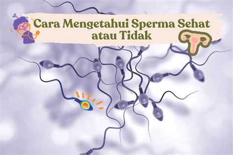 Cerita Sex Anal menghadirkan filter resonance dimana pun akses mudah sperma banyak variasi — temukan sekarang. image 1